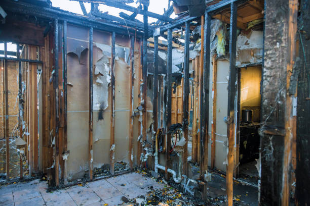 Professional Fire Damage Removal technician working in Allendale, SC